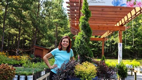 Creekside nursery - Let's go on a garden tour of all the gardens at Creekside Nursery and our home! For the full, detailed garden tour click on the link (the video is too long to post here). Late June is a fantastic time to be a gardener in NC!